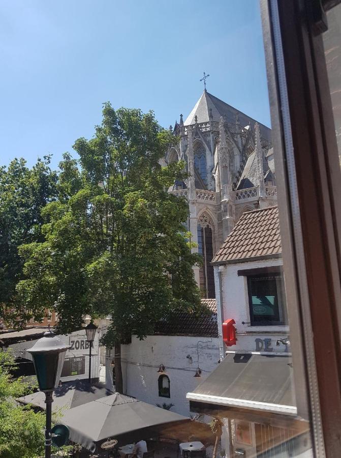Al In Den Aap Gelogeerd? Apartment Mechelen Exterior foto